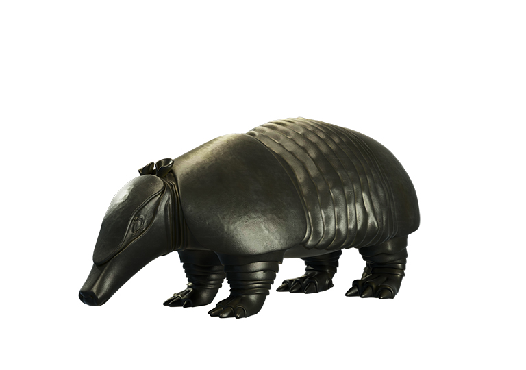 3D modeling of armadillo