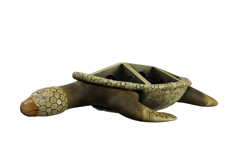 3D modeling of turtle