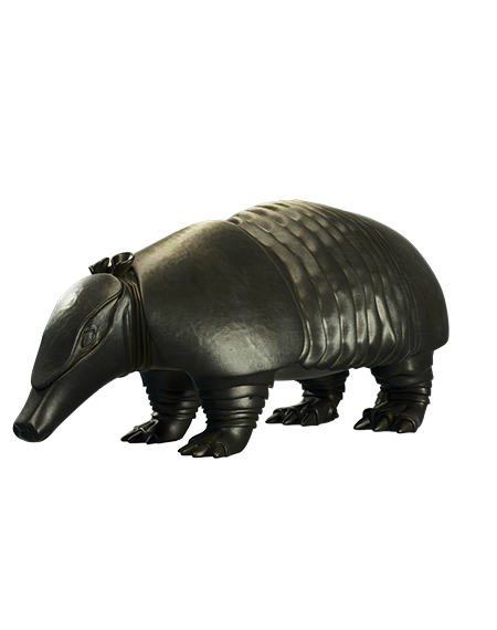 3D modeling of armadillo